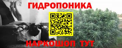 ГАЛЛЮЦИНОГЕННЫЕ ГРИБЫ Нарткала