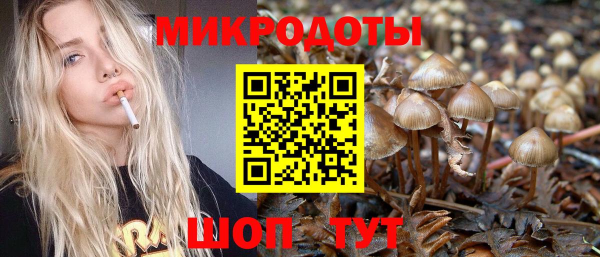 Псилоцибиновые грибы Cubensis Сарапул